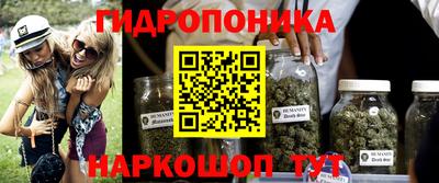 стафф Абакан